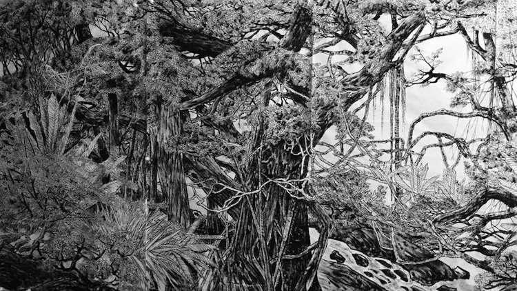 微信图片_20190106143137.jpg 微信图片_20190106143137.jpg